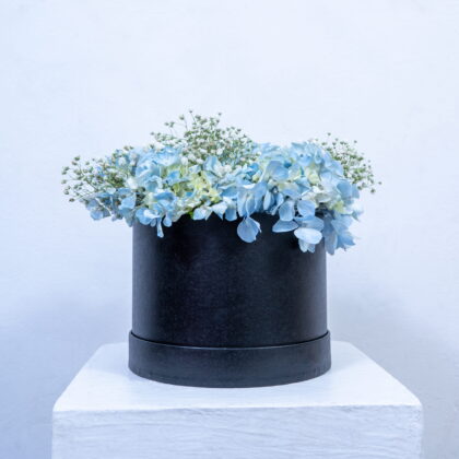 Azure Grace Box