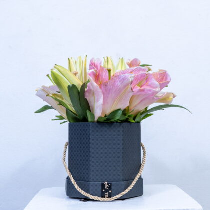 Blush lily