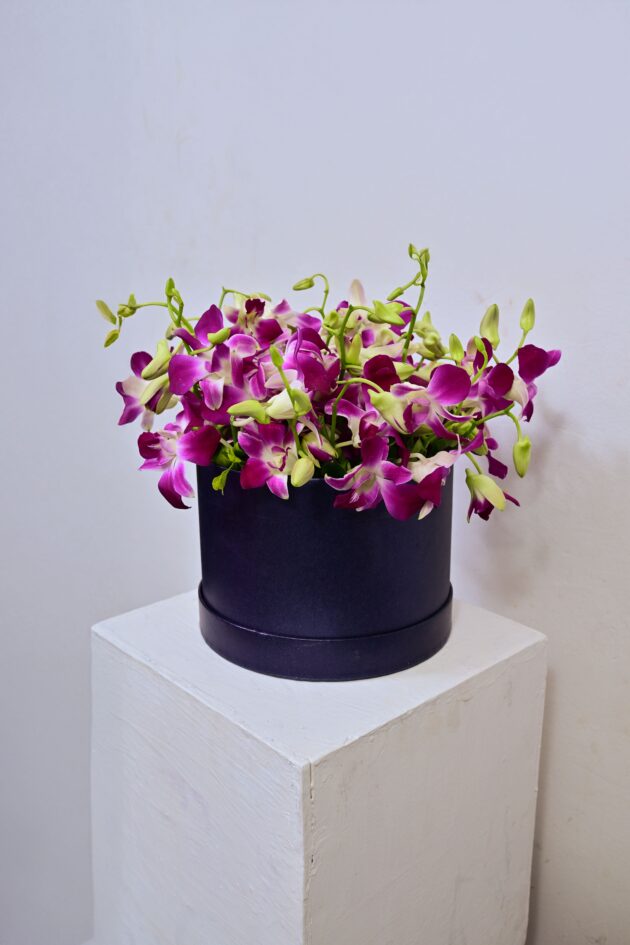 Orchid Elegance Box. - Image 3