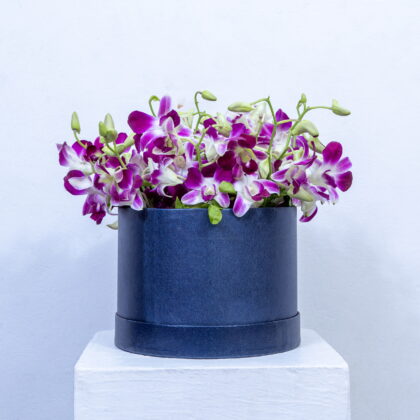 Orchid Elegance Box.