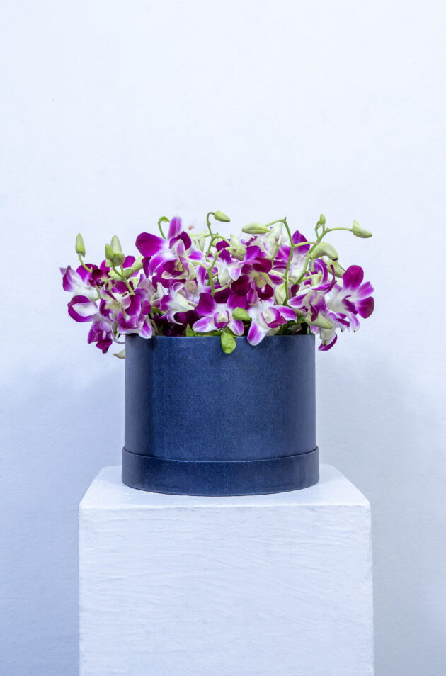 Orchid Elegance Box.