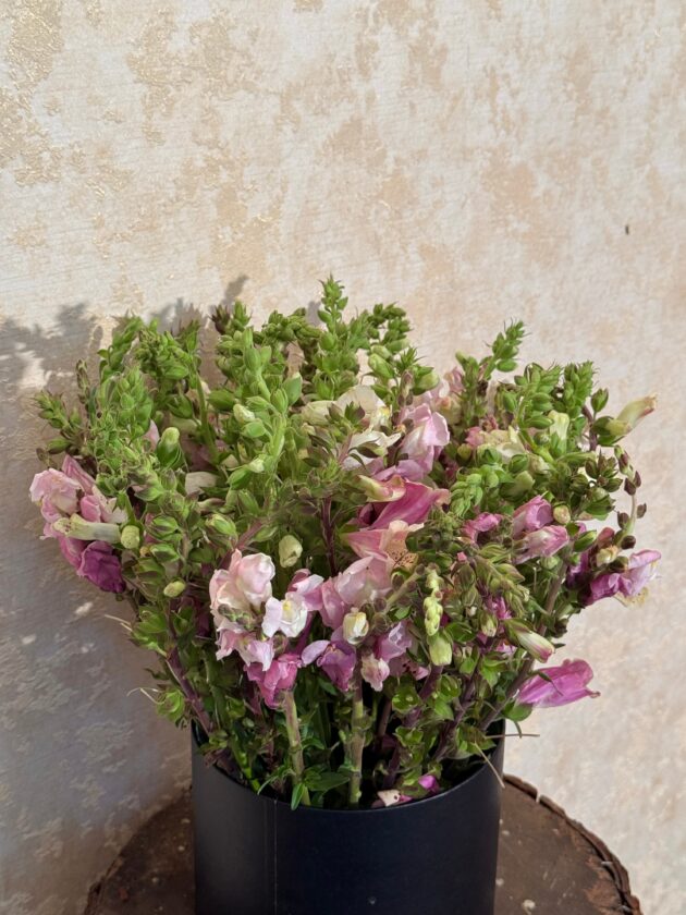 Pastel Meadow Blooms - Image 3