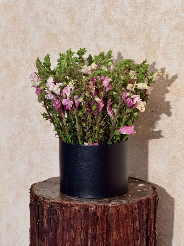 Pastel Meadow Blooms