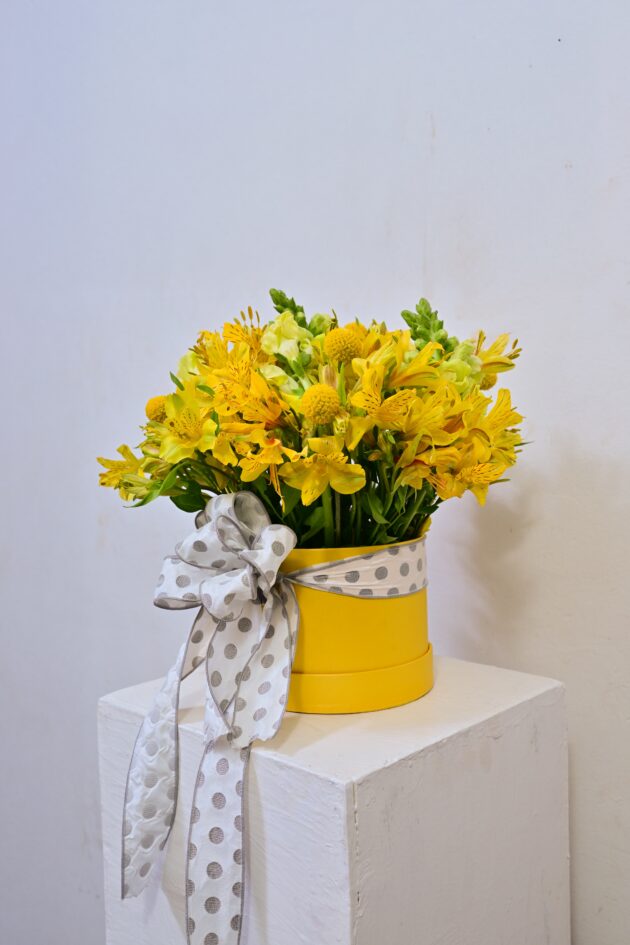 Sunshine Delight Box - Image 3