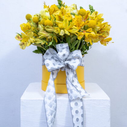 Sunshine Delight Box