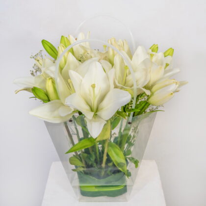 White Lily Grace