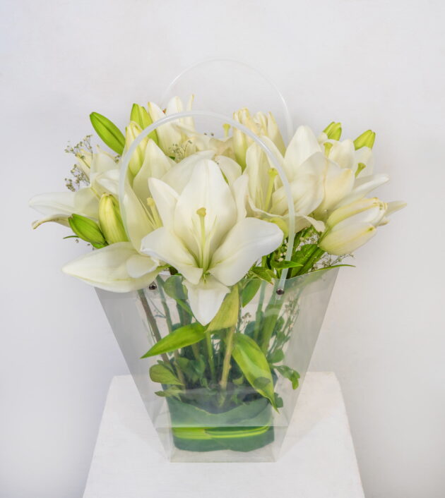 White Lily Grace