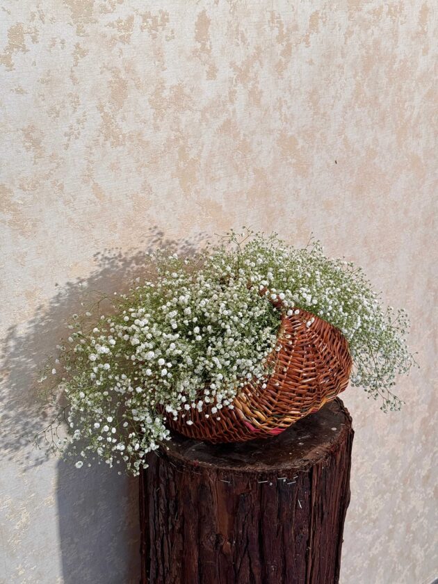 Whispers of Baby Breath Basket - Image 2