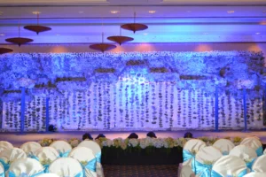 mandap-decoration